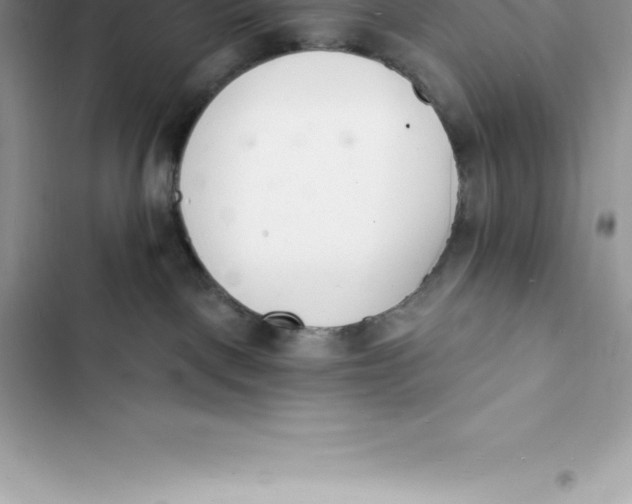 X0000103300093200809191904