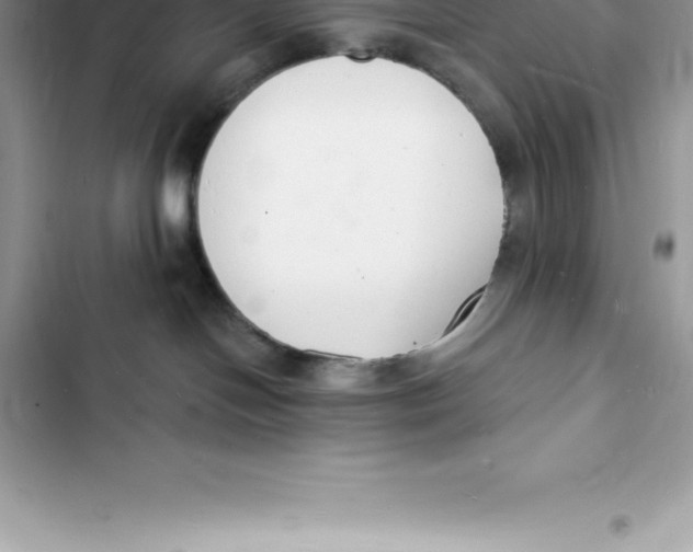 X0000103300094200809191904