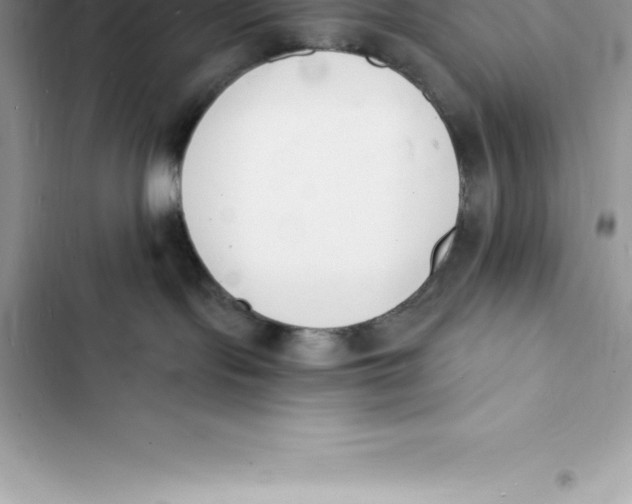 X0000103300095200809191904