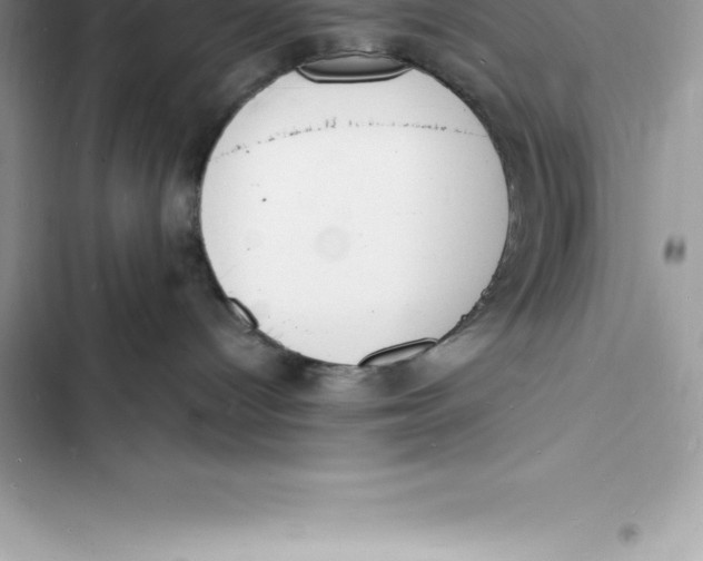 X0000103300096200809191904