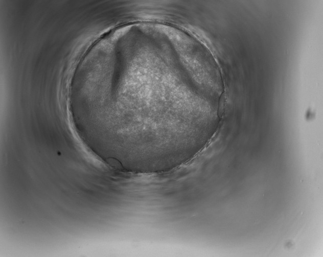 X0000103300097200809191904