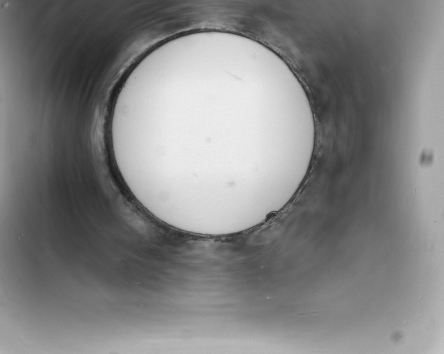 X0000103300098200809191904