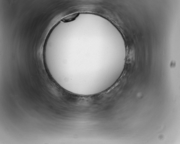 X0000103300099200809191904