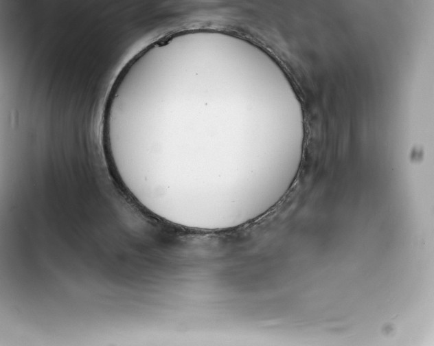 X0000103300100200809191904