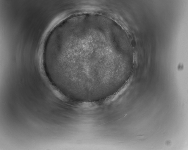 X0000103300101200809191904