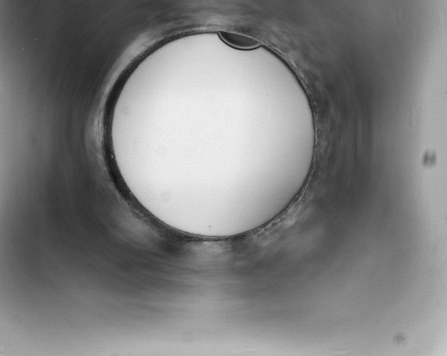 X0000103300102200809191904