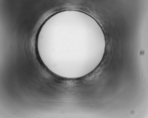 X0000103300103200809191904