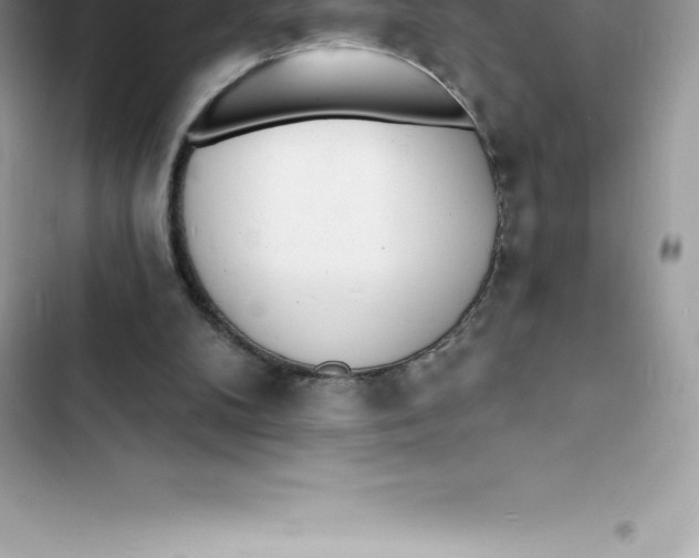 X0000103300104200809191904