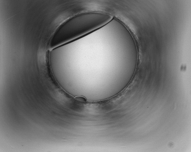 X0000103300105200809191904