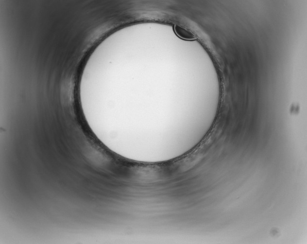 X0000103300106200809191904