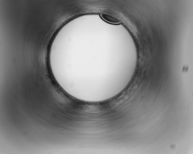 X0000103300107200809191904