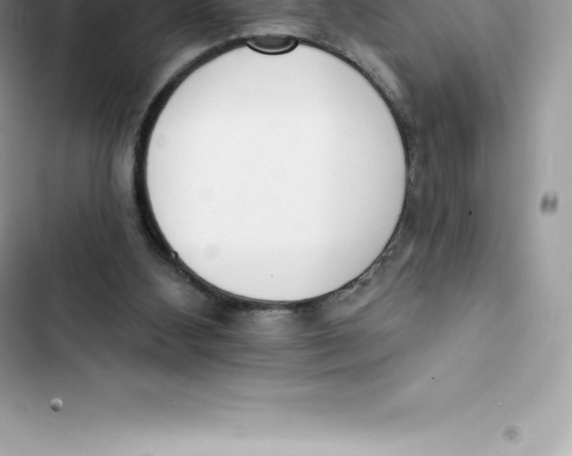 X0000103300108200809191904