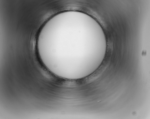 X0000103300110200809191904