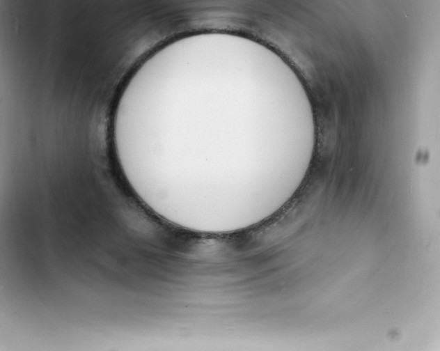 X0000103300111200809191904