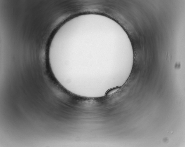 X0000103300112200809191903