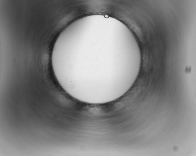 X0000103300113200809191903