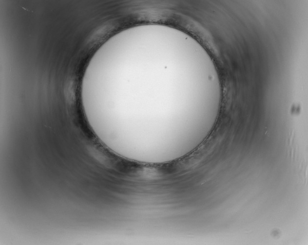 X0000103300114200809191903