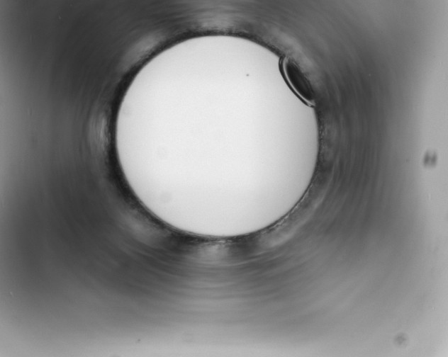 X0000103300116200809191903