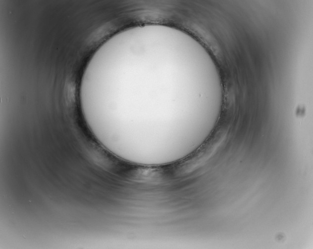 X0000103300117200809191903