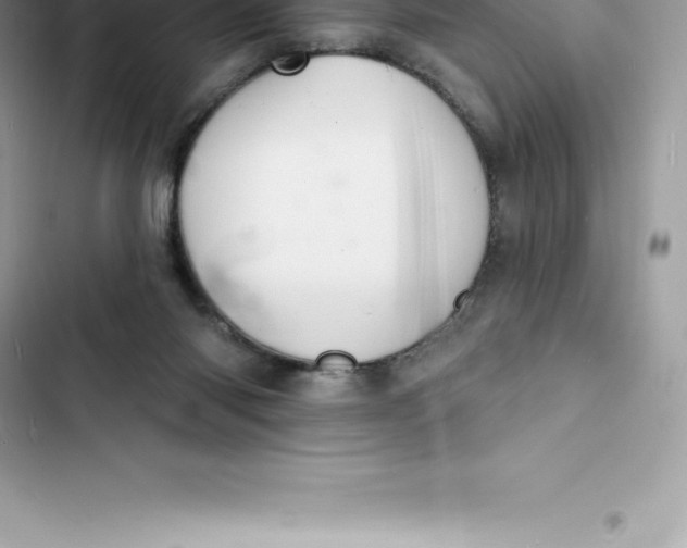 X0000103300118200809191903