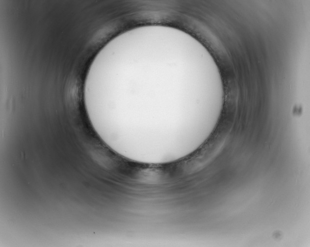 X0000103300119200809191903