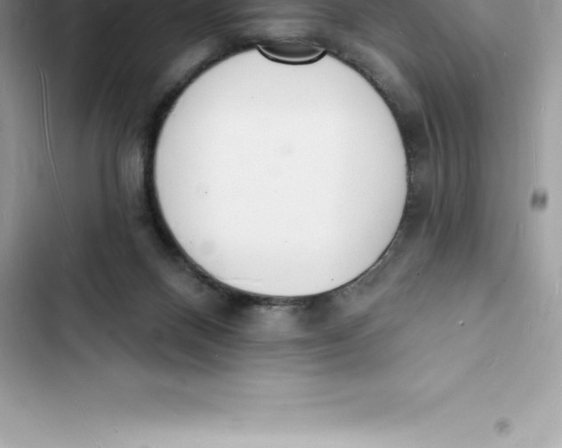 X0000103300120200809191903