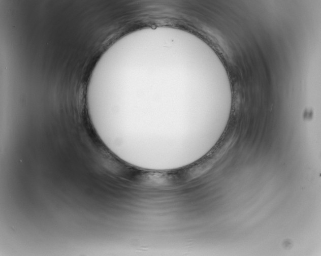 X0000103300121200809191903