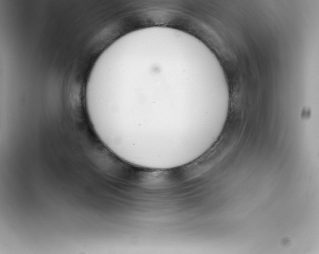 X0000103300122200809191903