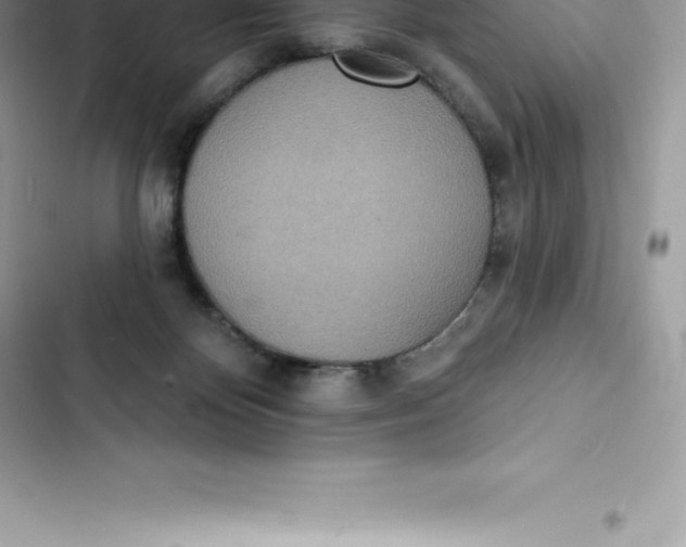 X0000103300124200809191903