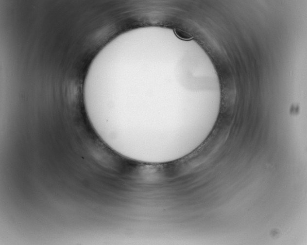 X0000103300126200809191903