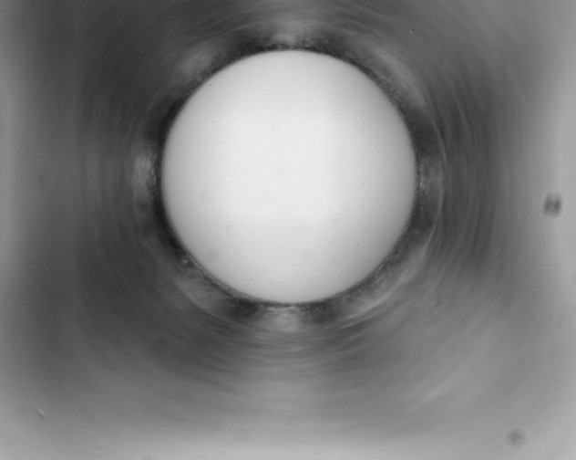 X0000103300127200809191903