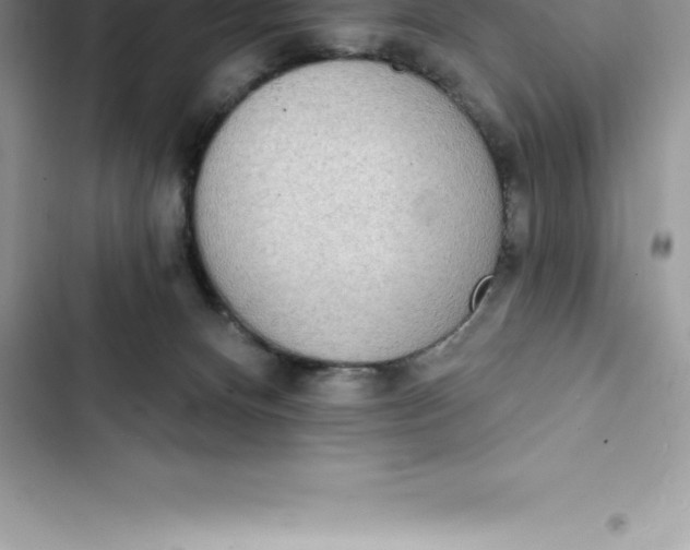 X0000103300128200809191903