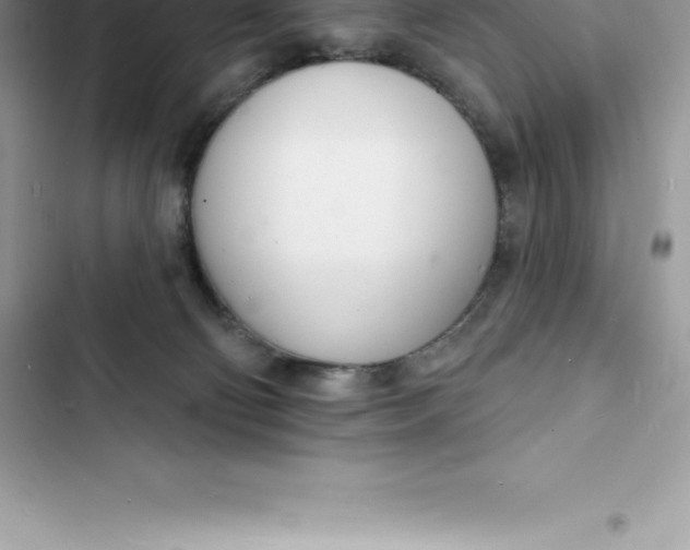 X0000103300130200809191903