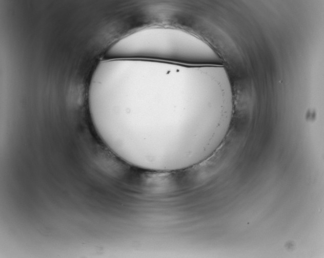 X0000103300132200809191903