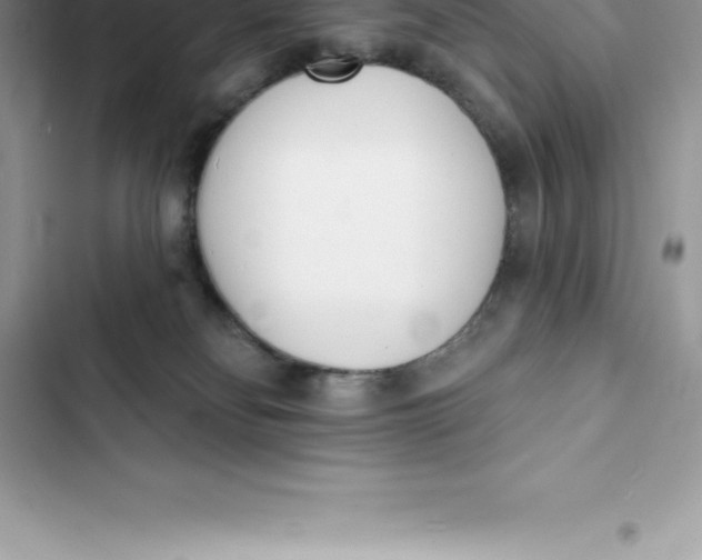 X0000103300134200809191903