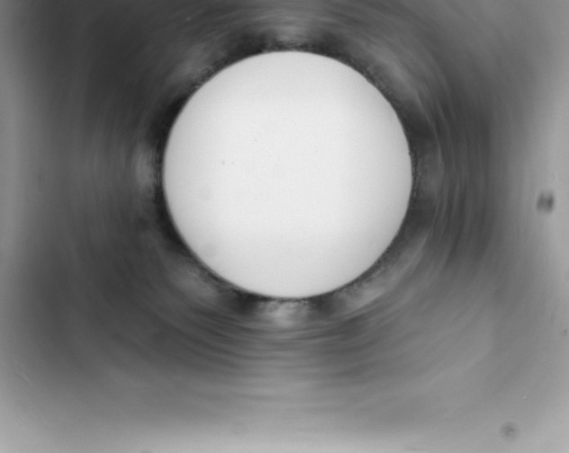 X0000103300135200809191903