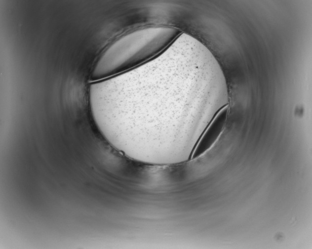 X0000103300136200809191903