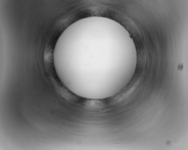 X0000103300137200809191903