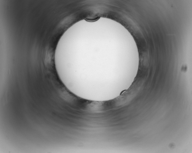 X0000103300138200809191903