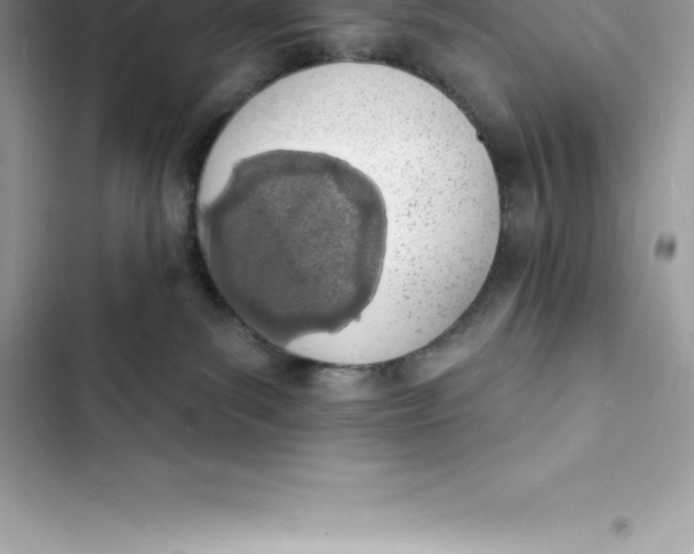 X0000103300139200809191903