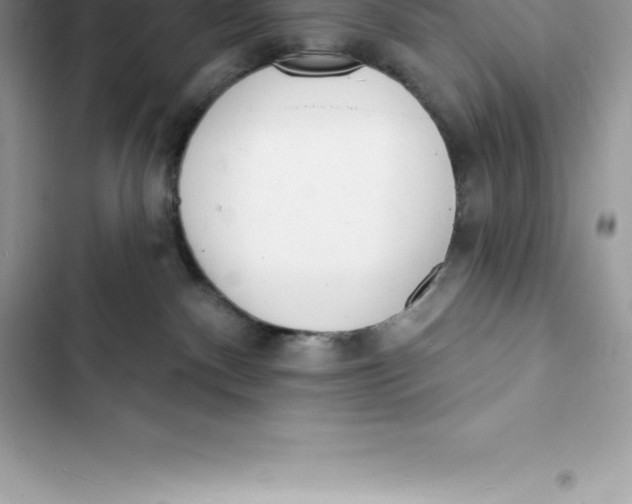 X0000103300140200809191903