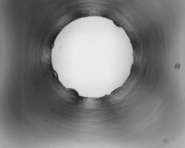 X0000103300141200809191903