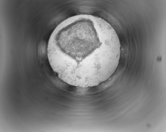 X0000103300143200809191903