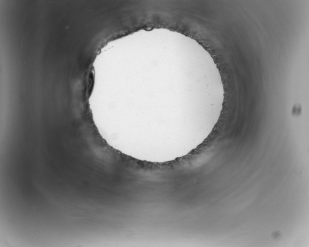 X0000103300144200809191903