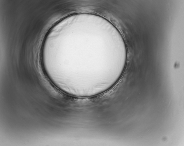 X0000103300145200809191902