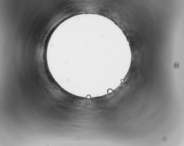 X0000103300146200809191902