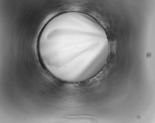 X0000103300147200809191902