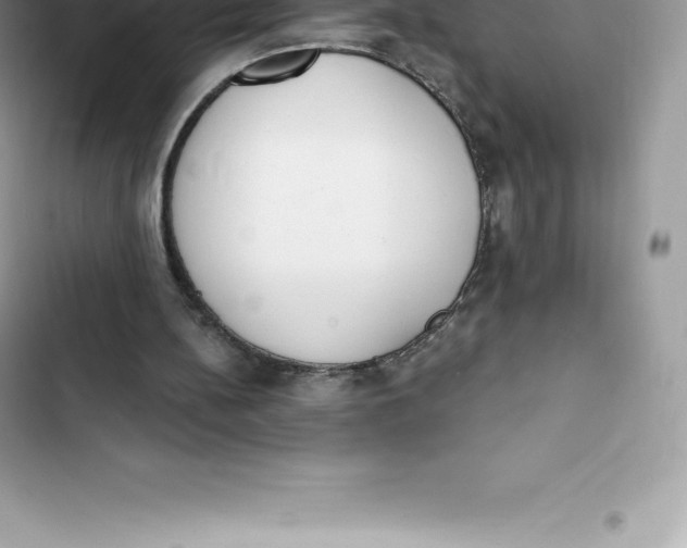 X0000103300148200809191902