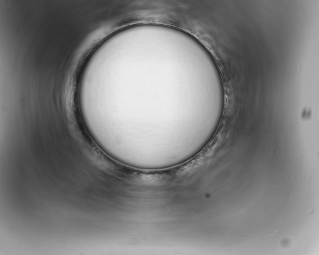 X0000103300149200809191902