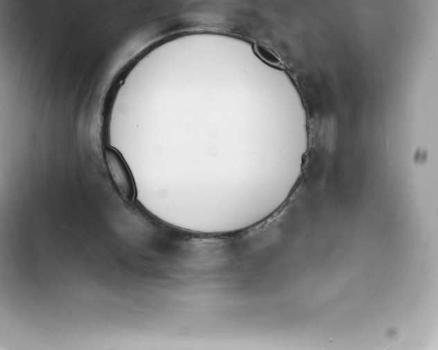 X0000103300150200809191902